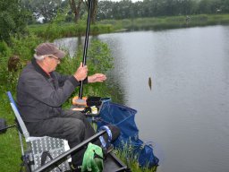 Competities HSV Alfheim